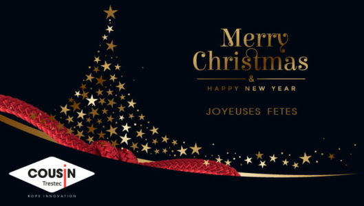 Décembre 2019 : Joyeuses fêtes de fin d’année !